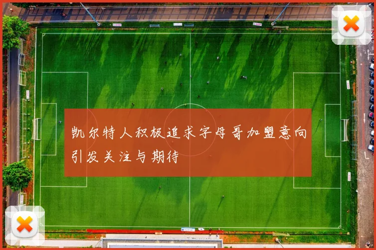 凯尔特人积极追求字母哥加盟意向引发关注与期待